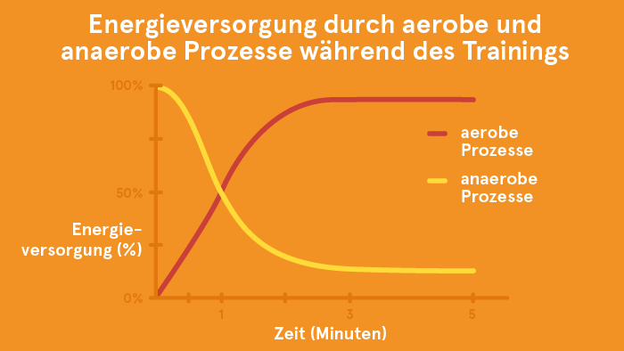 The difference between aerobic and anaerobic training